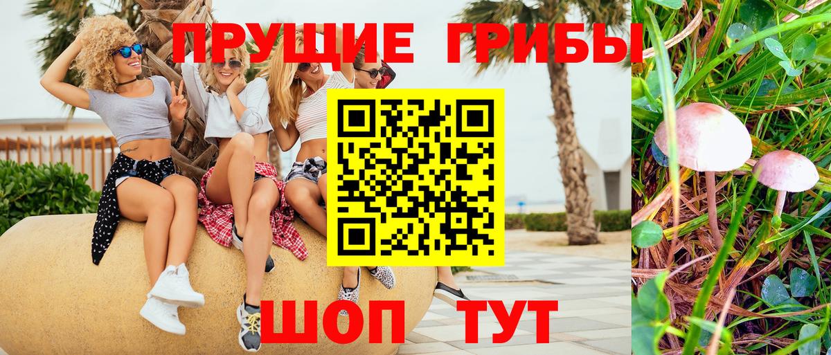 Псилоцибиновые грибы Psilocybe  Псилоцибиновые грибы прущие грибы  Вход с VPN  Кимовск 